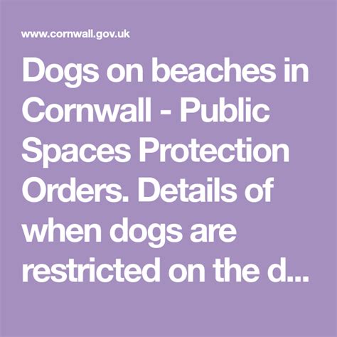 designated beaches for dogs.